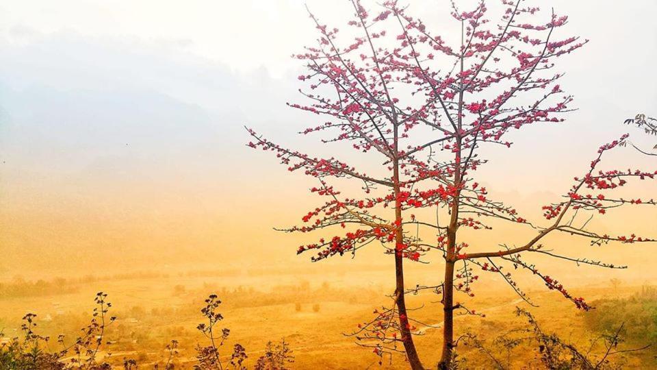 Diem Dung Chan Can Ty Ha Giang Exteriér fotografie