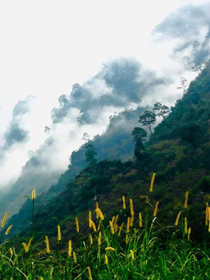 Diem Dung Chan Can Ty Ha Giang Exteriér fotografie
