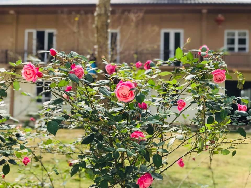 Diem Dung Chan Can Ty Ha Giang Exteriér fotografie