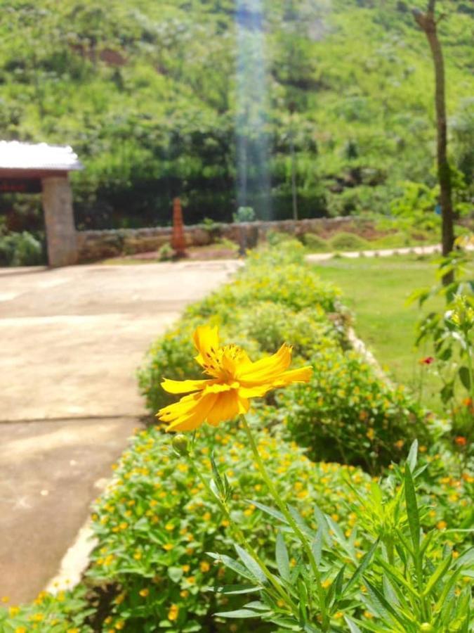 Diem Dung Chan Can Ty Ha Giang Exteriér fotografie