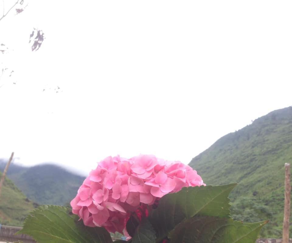 Diem Dung Chan Can Ty Ha Giang Exteriér fotografie